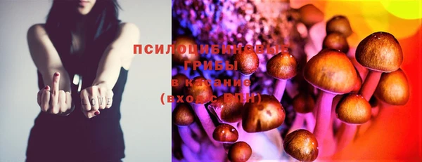 метамфетамин Богородицк