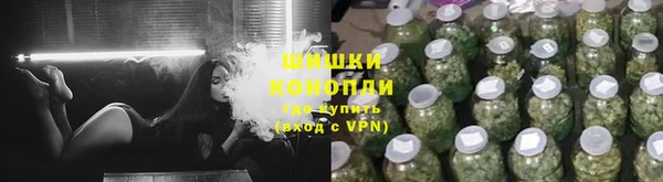 крисы Богданович